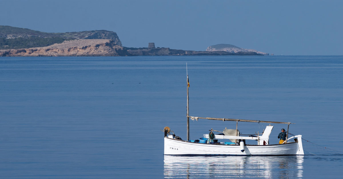 Descubre la esencia de la isla de la mano de nuestros productores y elaboradores locales