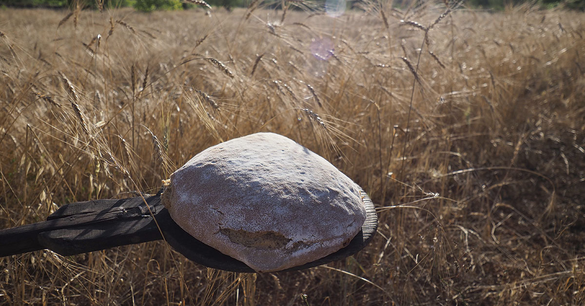 bread with wheat field in the background