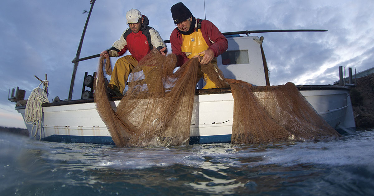 peix nostrum fishermen fishing at sea