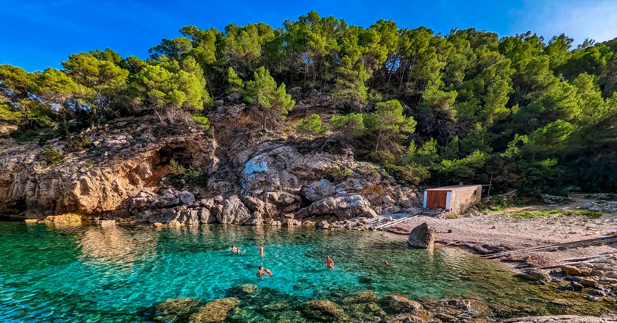 can tothom calo des moltons