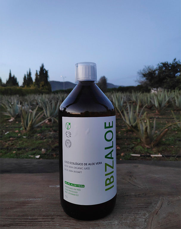 Ibizaloe: productos alimenticios con aloe vera de Ibiza