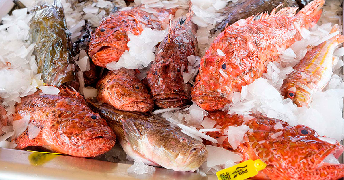 Peix Nostrum, el sello de calidad del pescado de Ibiza
