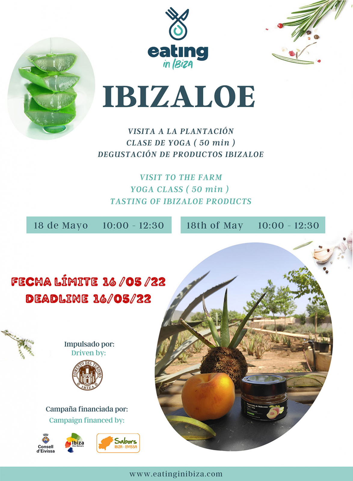 Ibizaloe