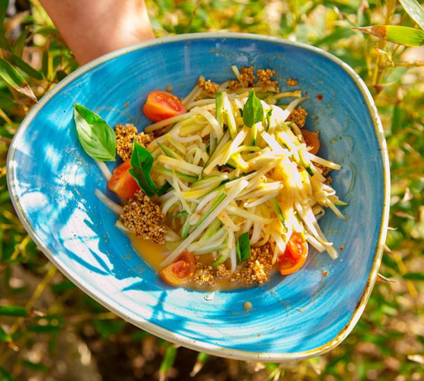 The compass points north! Let it take you to Shamarkanda's garden
