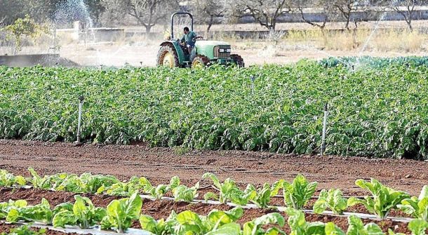 Agricultura ecològica